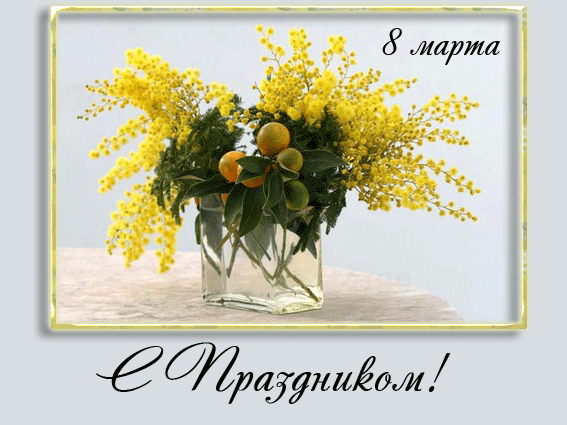 МИМОЗКА - фотоотчеты!!!