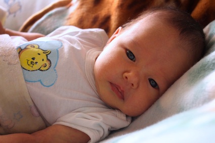 Наша моська