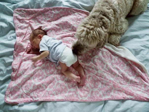 Не совсем юмор..Так тронуло,девчонки ..