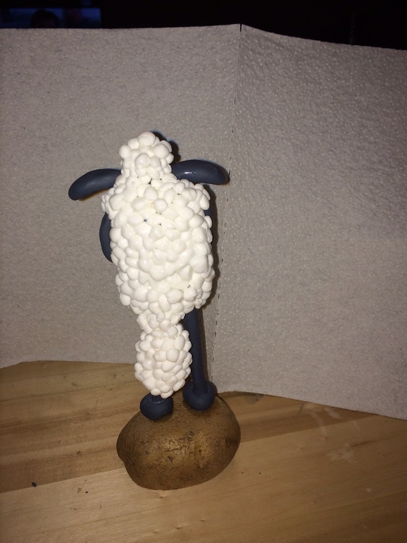 Барашек Шон