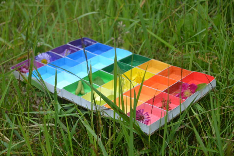 ЛЕТНИЕ ИГРЫ - проект