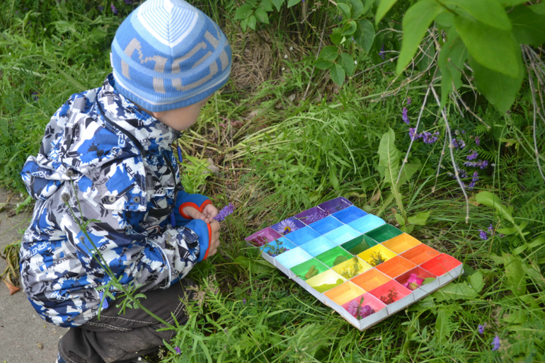 ЛЕТНИЕ ИГРЫ - проект