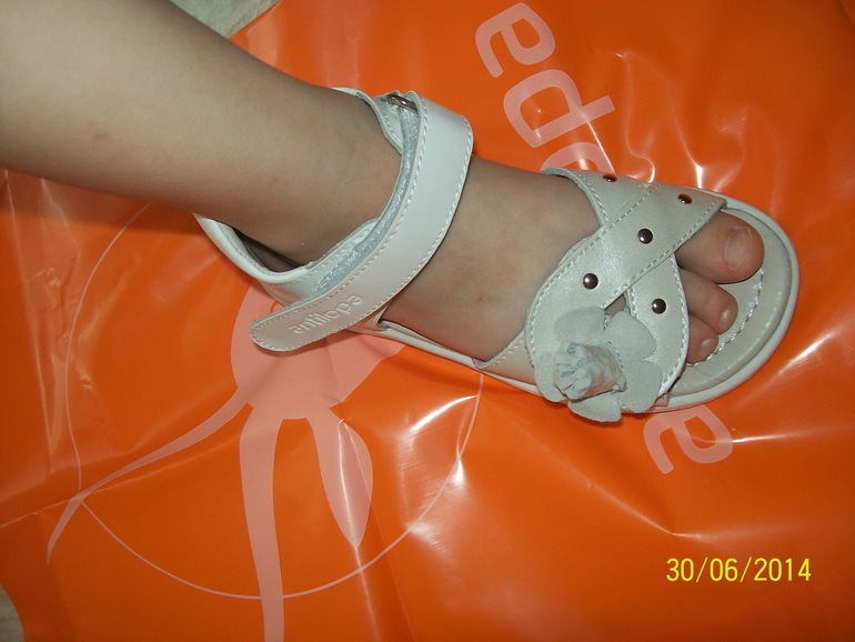 ae082d5d19bcc8d59d329cd5776cc56a.jpg