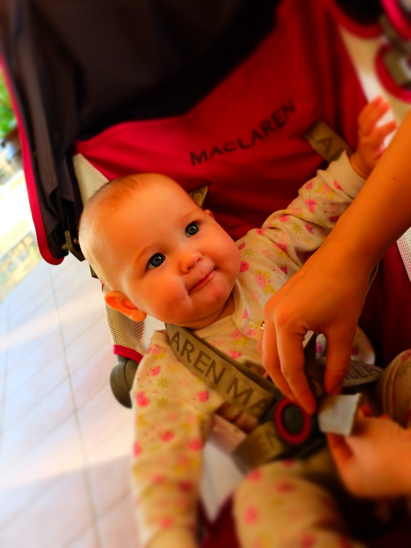 8 месяцев и Египет