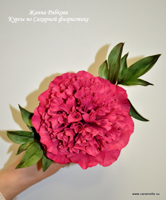 Кондитерские курсы. Расписание занятий на май.