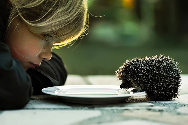 День, когда я перестала говорить своему ребенку “Давай скорее!”