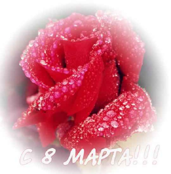 082ecc36b51fadf02b22e27623f05ea6.jpg