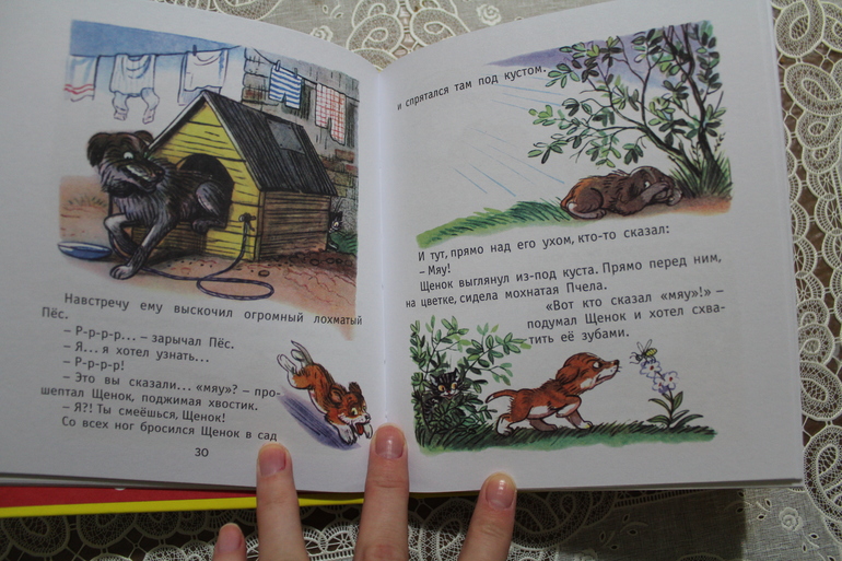 Наши книжные новинки