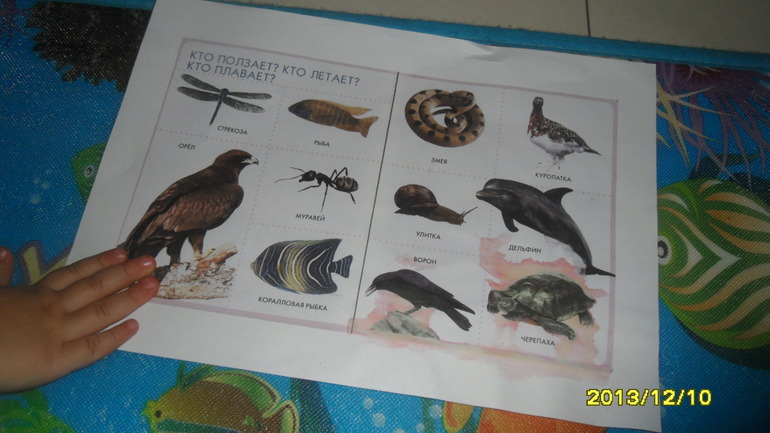 ТН МОРЕ ДЕНЬ 5