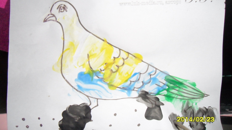 Птицы день2