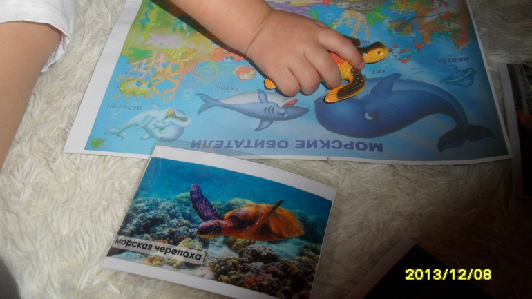 ТН МОРЕ ДЕНЬ 4