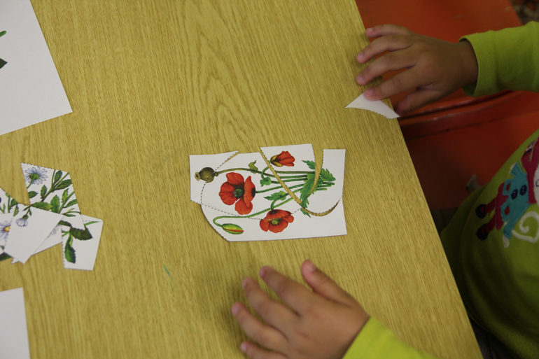 Тематические занятия ЦВЕТЫ, часть 1, вводная)))