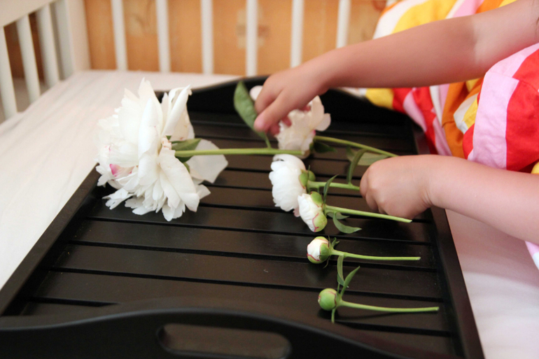 Тематические занятия ЦВЕТЫ, часть 1, вводная)))