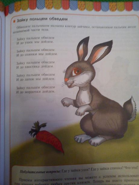 Лесные друзья. День третий – Зайчик