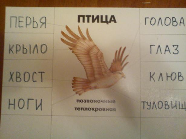 ТН