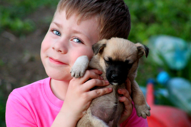 А у нас а у нас живет щенок)))))))))