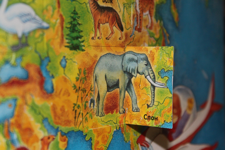 Просто восторг