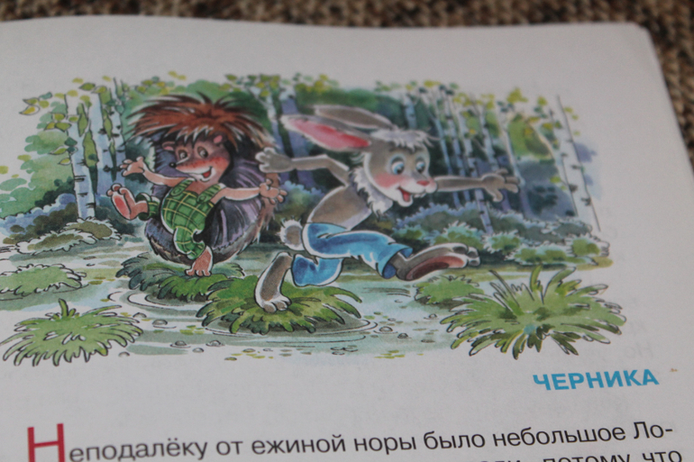 Жили были ёжики))))