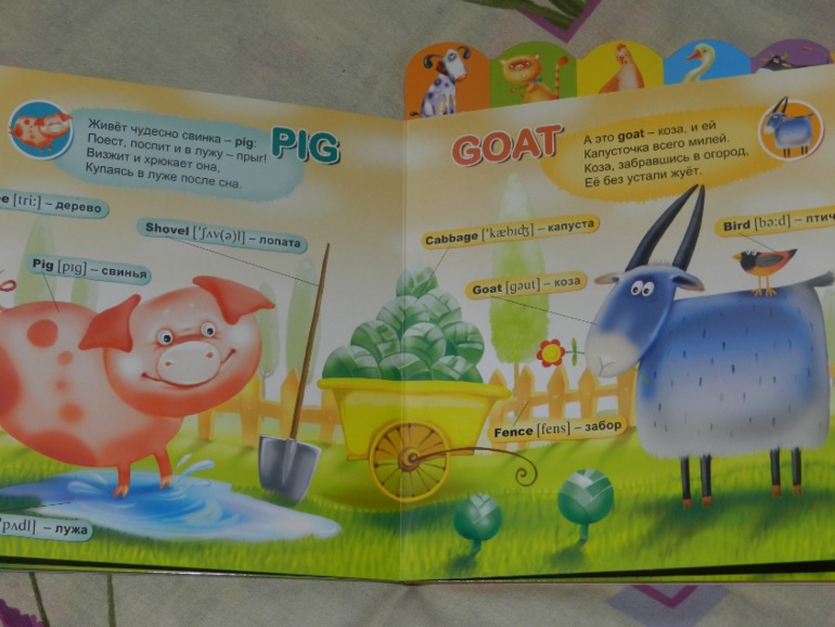 обнавленный большущий хваст)))))))))))))))))))))