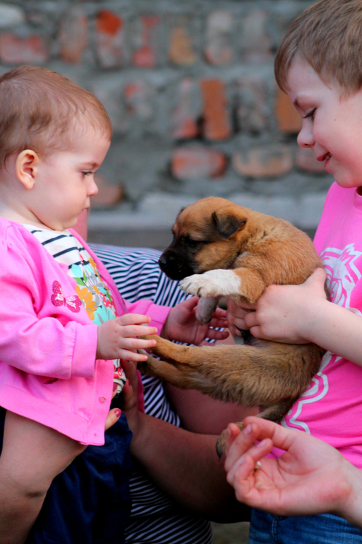 А у нас а у нас живет щенок)))))))))