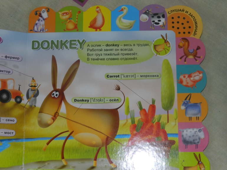 обнавленный большущий хваст)))))))))))))))))))))