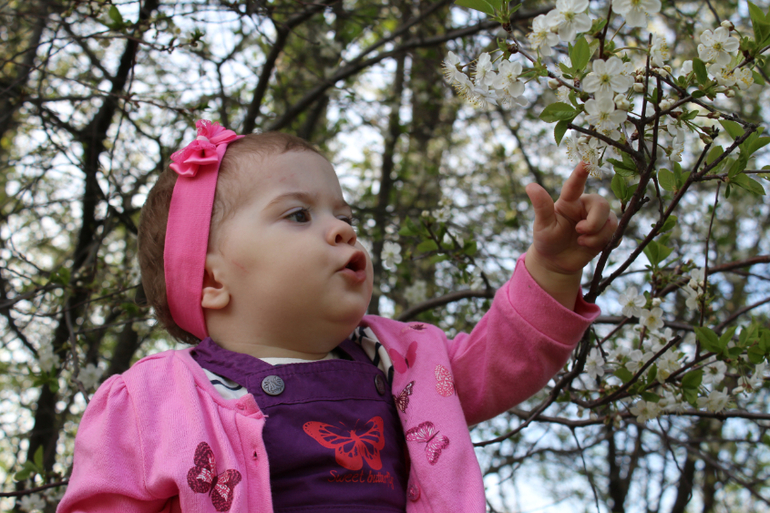 А у нас а у нас живет щенок)))))))))