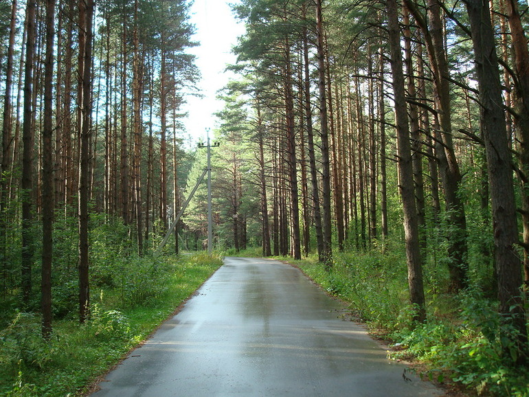 Курортный район, Зеленогорск, улица Танкистов Участок 20 соток Цена 14 млн. руб.