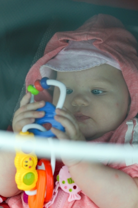 Мега обзор игрушек с 0+ из итернет-магазина my-shop