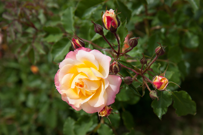 Восемь месяцев моей булочке и 29 годиков мне)))))) Оченьмногофотопост.