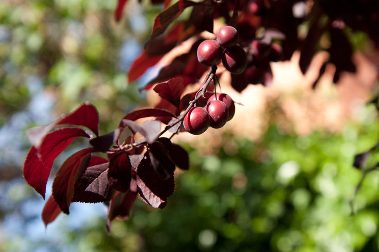 Восемь месяцев моей булочке и 29 годиков мне)))))) Оченьмногофотопост.
