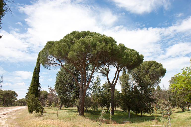 Восемь месяцев моей булочке и 29 годиков мне)))))) Оченьмногофотопост.
