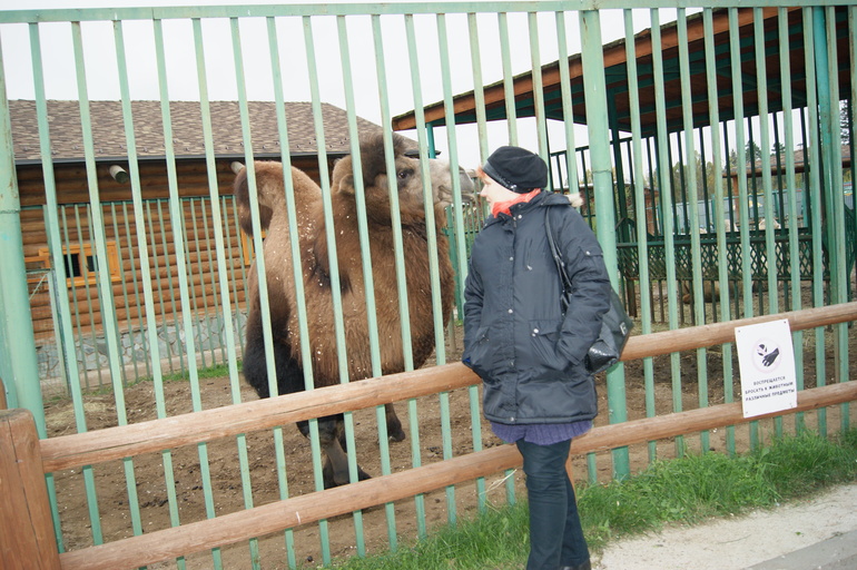 наш поход в зоопарк