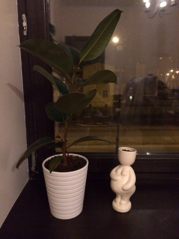 мои приманки :)