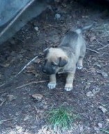 девочки мои гляньте