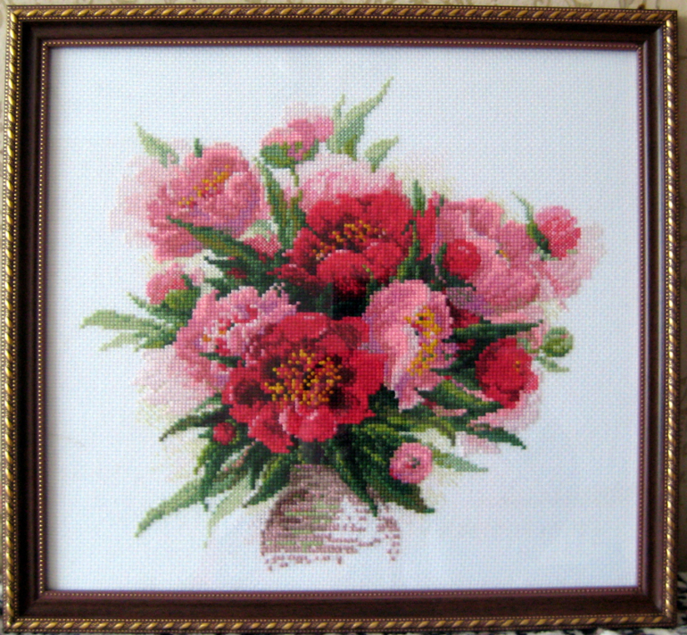 Совместник Риолис. ГАЛЕРЕЯ!!!