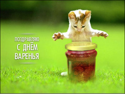 dec5177b7109b84838fbb5da9afe7aea.jpg