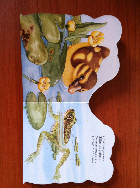 про животных малышам