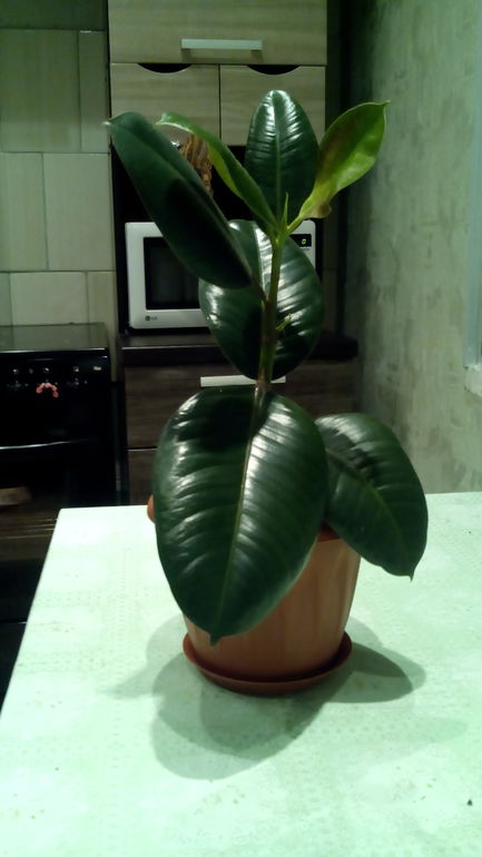 Мои подарочки из марафона))))