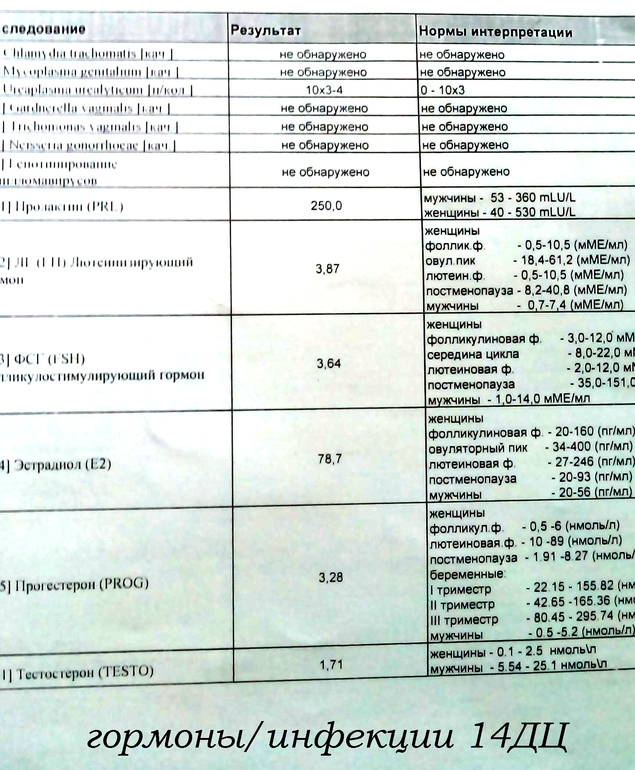 Новая бяка!