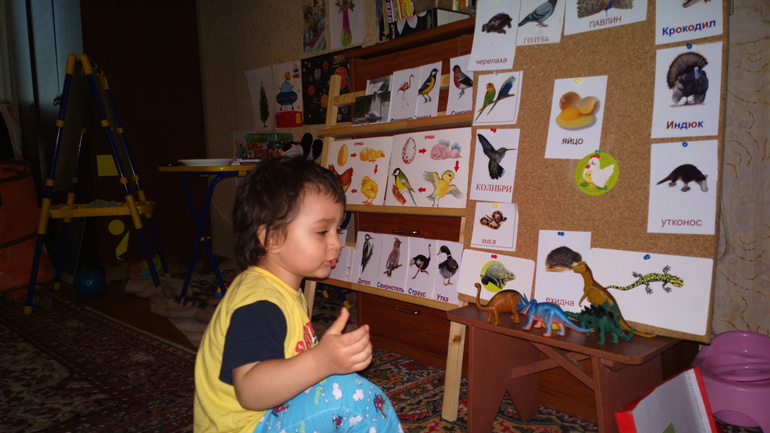 Наш Шичида )