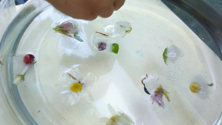 Волшебный лед