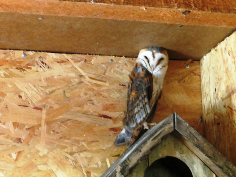 Поездка в частный зоопарк в г. Раменское