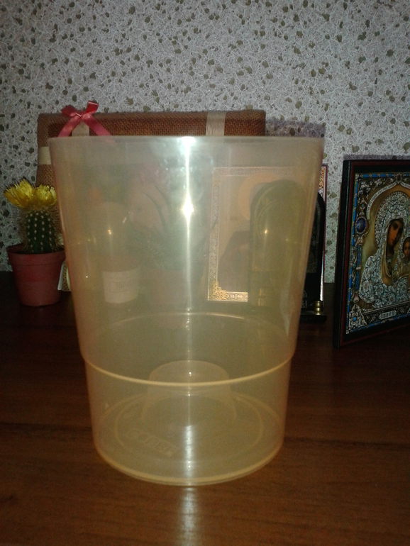 Орхидеус-обыкновенус)))