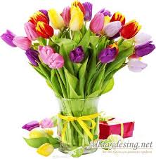 77f7bf84a596b261f8d21baf3bff957a.jpg