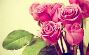 fb9788f0a6c319fdff585c1ed68bc85e.jpg