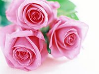 044de864eca7a3317692293ea148a7b7.jpg