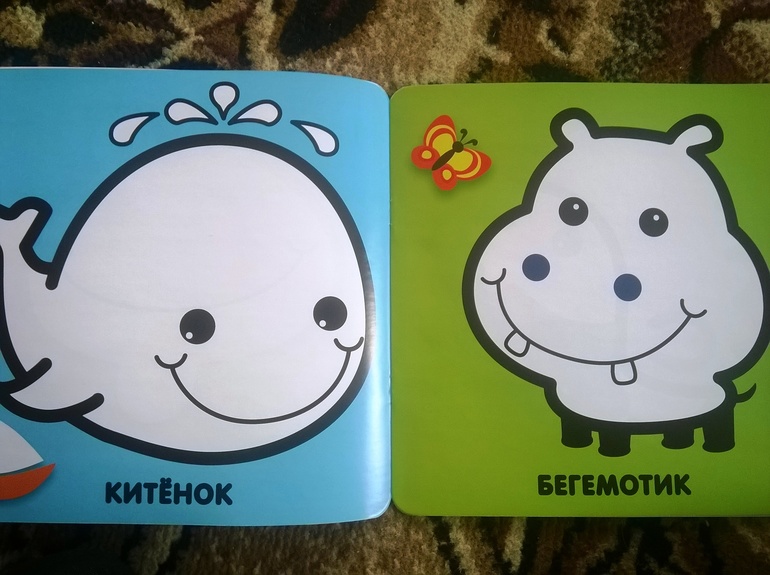 Наше книжное пополнение