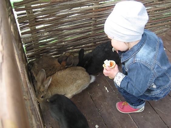 Национальный Конный Парк «РУСЬ»