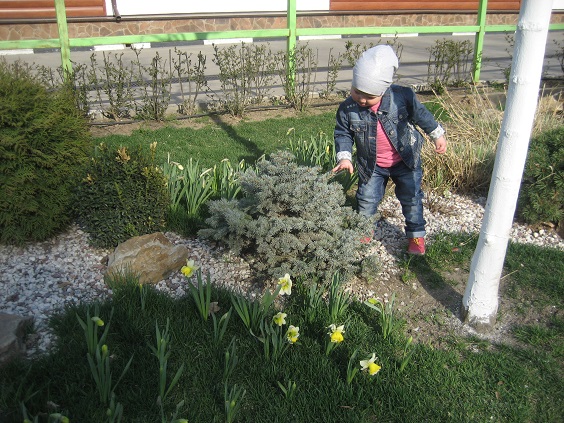 Национальный Конный Парк «РУСЬ»