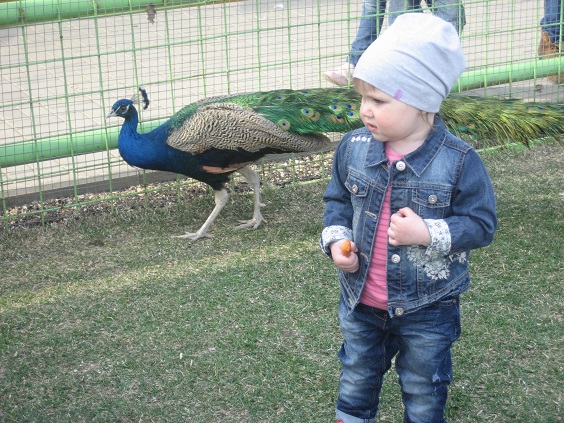 Национальный Конный Парк «РУСЬ»